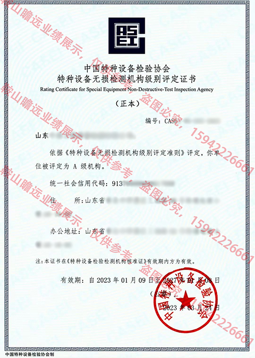 2023山東公司案例